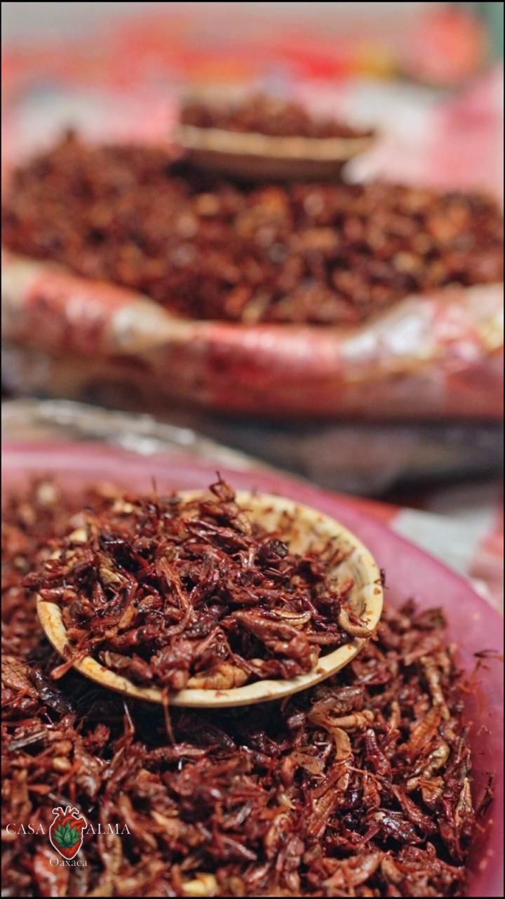 Botanas Tradicionales