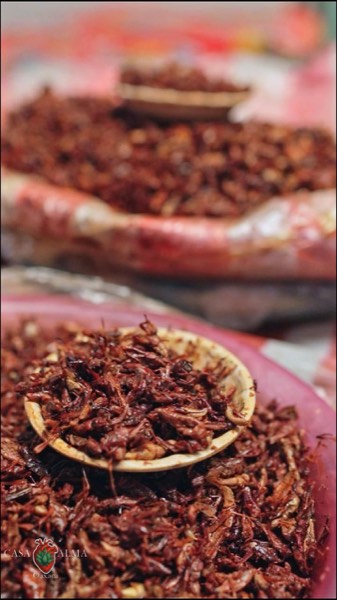 Chapulines 1 Kilo