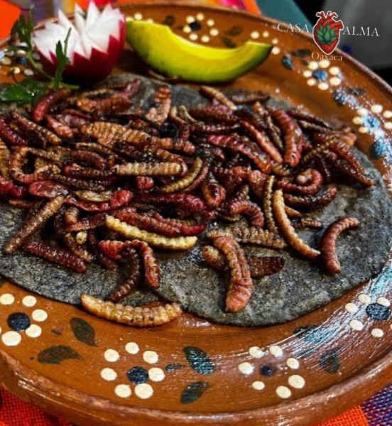 Gusanos de Maguey Preparados 25 Piezas